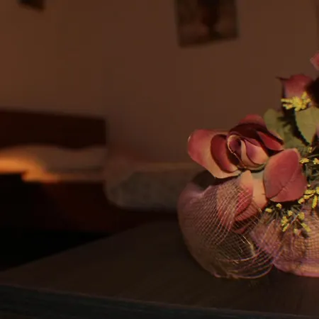 ホテル Gala スコピエ